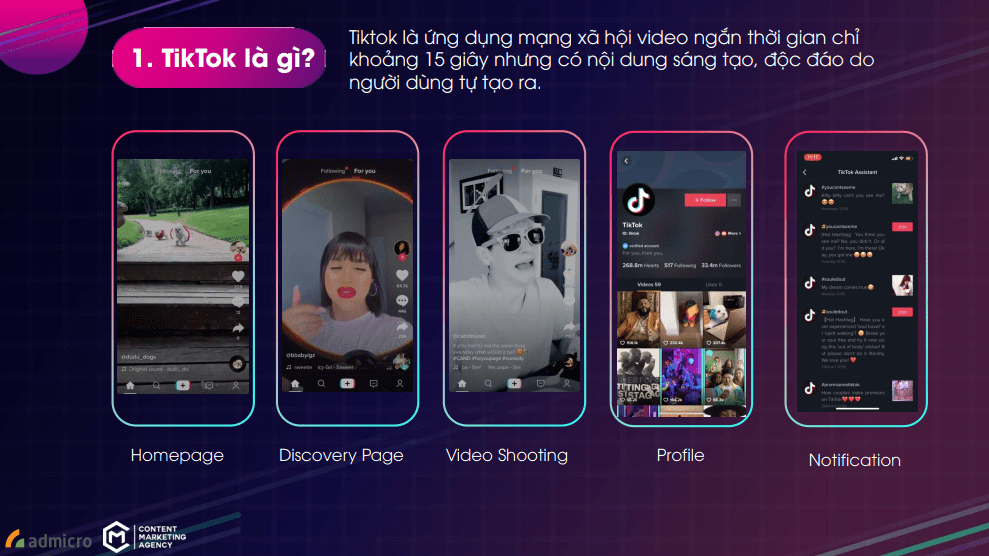 các dạng hình thức chạy quảng cáo tiktok